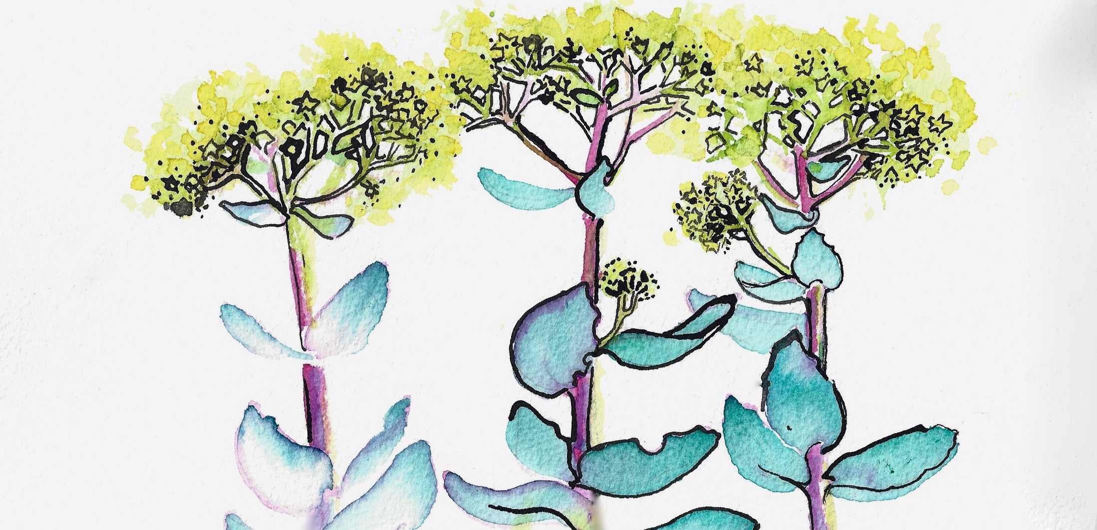 Illustration Anna Gran.