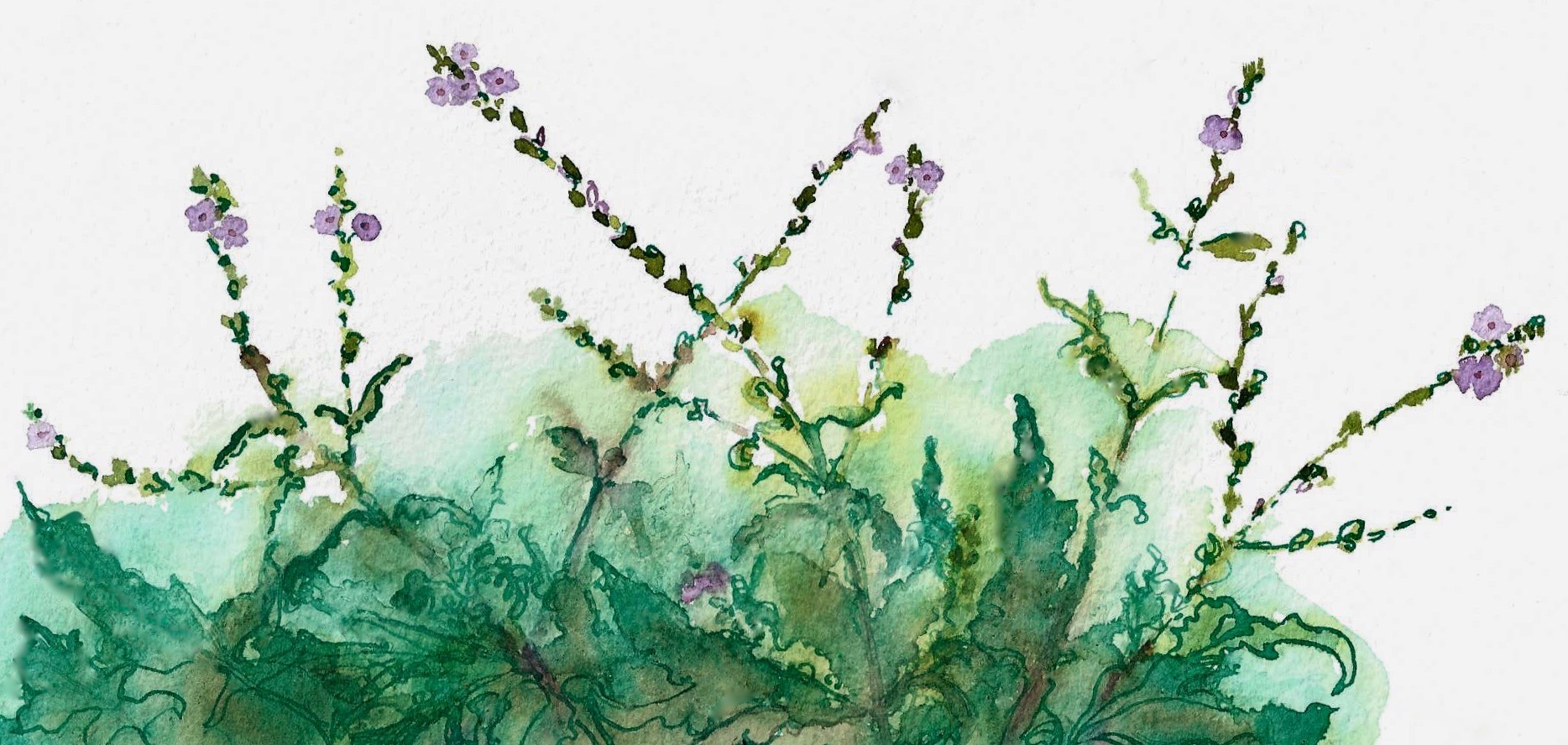 Illustration: Anna Gran