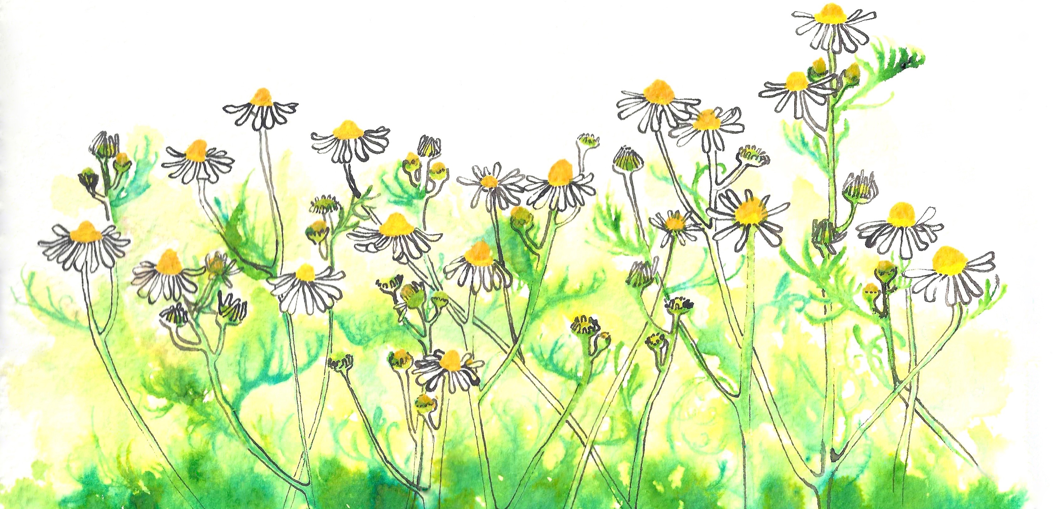 Illustration: Anna Gran