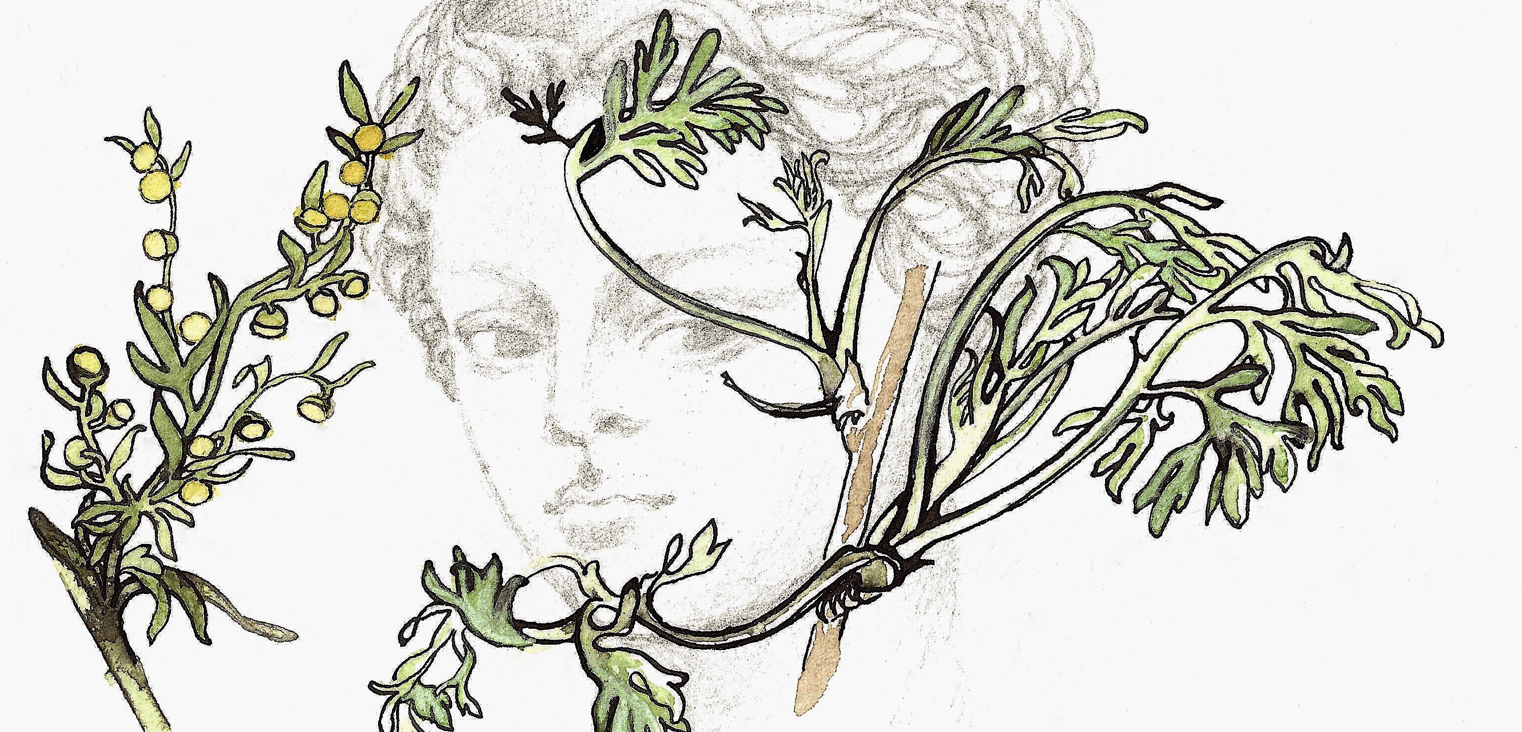 Illustration: Anna Gran